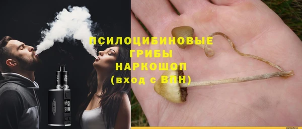 PSILOCYBIN Горно-Алтайск